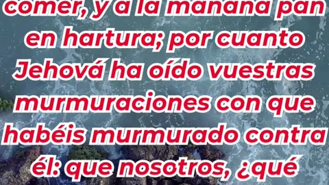 “El Señor oye sus quejas y provee” Éxodo 16:8. #shortvideo #reels #youtubeshorts #ytshorts #youtube