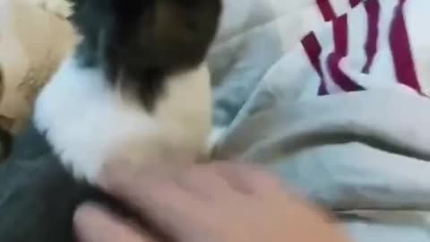 Woe Day 150. I am in the ark. Waiting for GOD to open the Door for a spring/summer Pentecost rapture