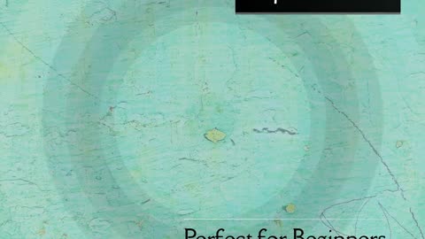 Snail Farming 101 – A Beginner’s Guide to Escargot Profits