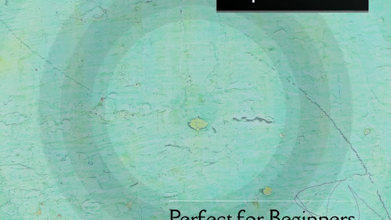 Snail Farming 101 – A Beginner’s Guide to Escargot Profits