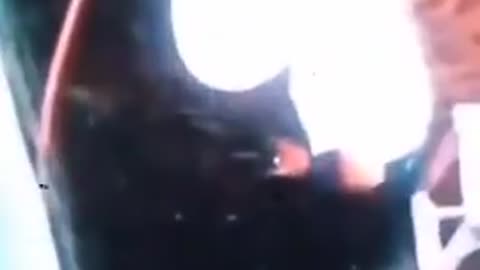 The Playboy Mansion was a CIA and Mossad Institution.