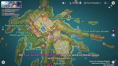 [Natlan World Quest] Twisted Extension