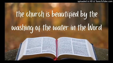 church is beautified by the washing of the water in the Word