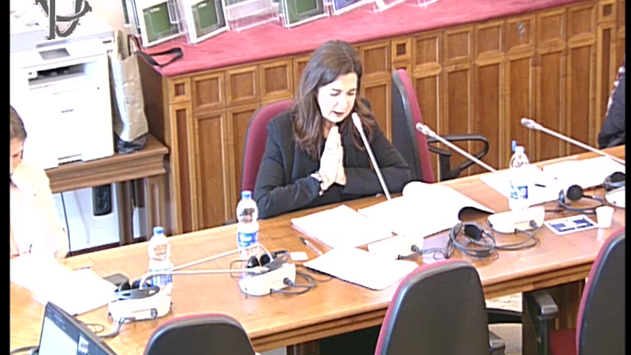 Roma - Documento triennale cooperazione allo sviluppo - Audizione (12.02.25)