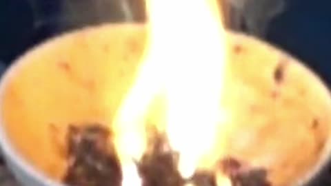 Explosive Oxidation: Manganese(VII) oxide and ethanol! #Chemistry #Science