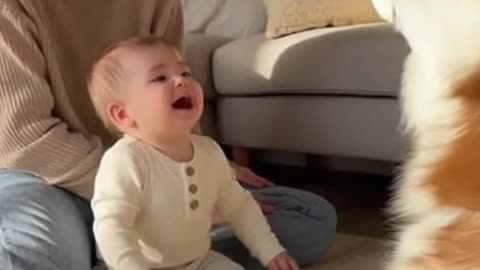 Kids Playing with Dogs and Cats | Cute Baby & Pet Friendship Moments 🐶🐱