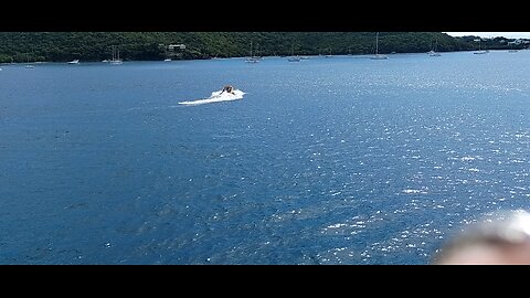 adventure of the Sea cruise 1 2026