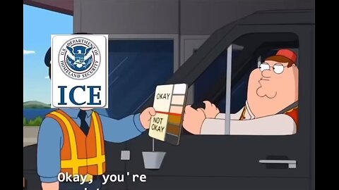 How ICE Decides Immigration Status.