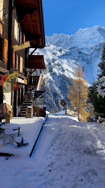 Beautiful Nature Vibes 🌿✨