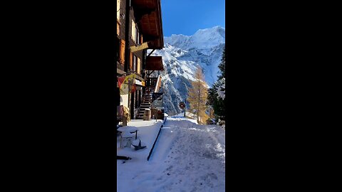 Beautiful Nature Vibes 🌿✨