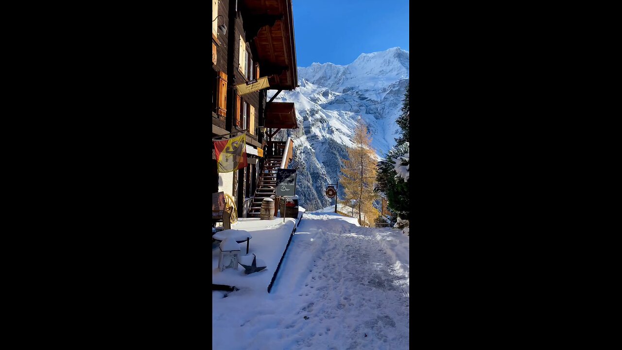 Beautiful Nature Vibes 🌿✨