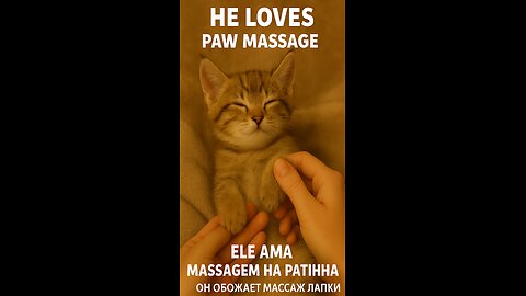 💆‍♂️The most relaxing moment you'll see today! 🐾