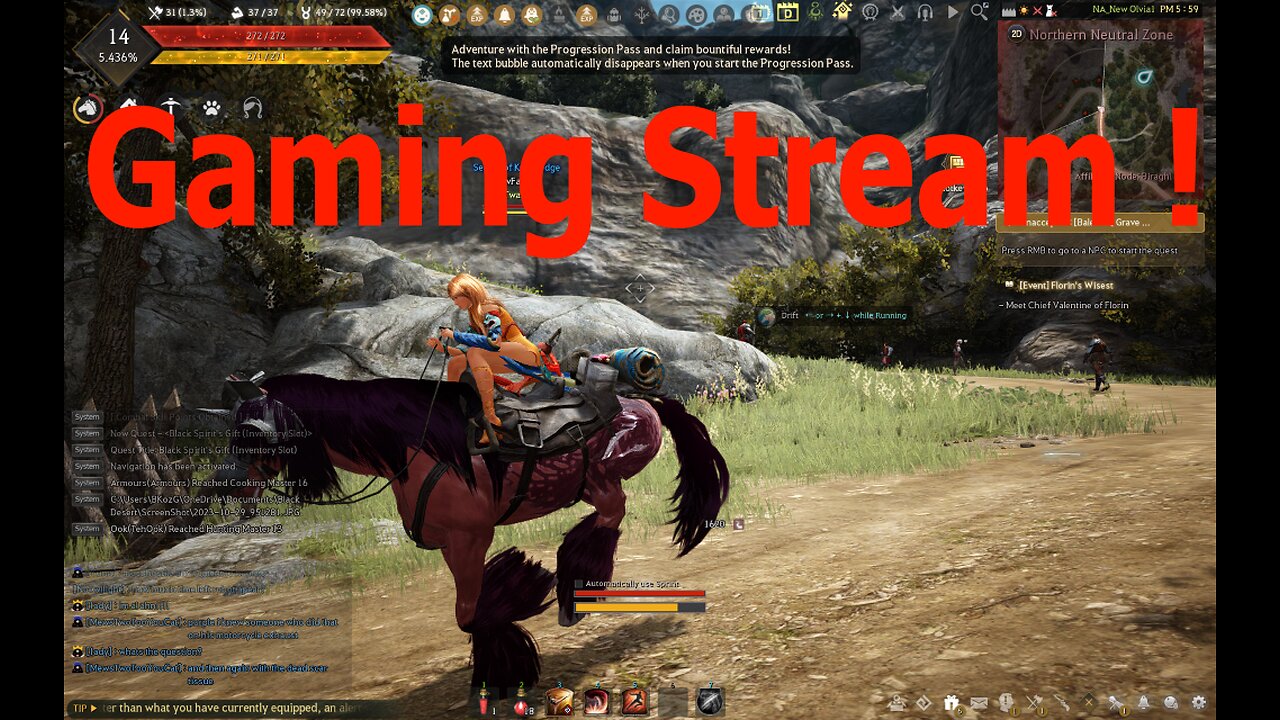 BDO GAMING STREAM