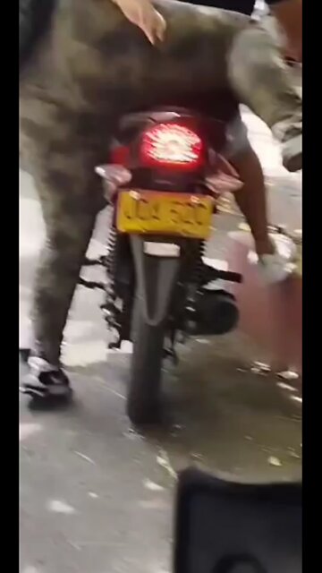 descuida su tanga negra en la moto thong slip bike