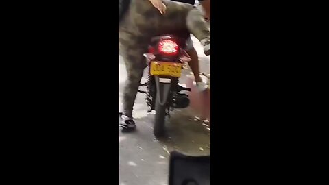 descuida su tanga negra en la moto thong slip bike