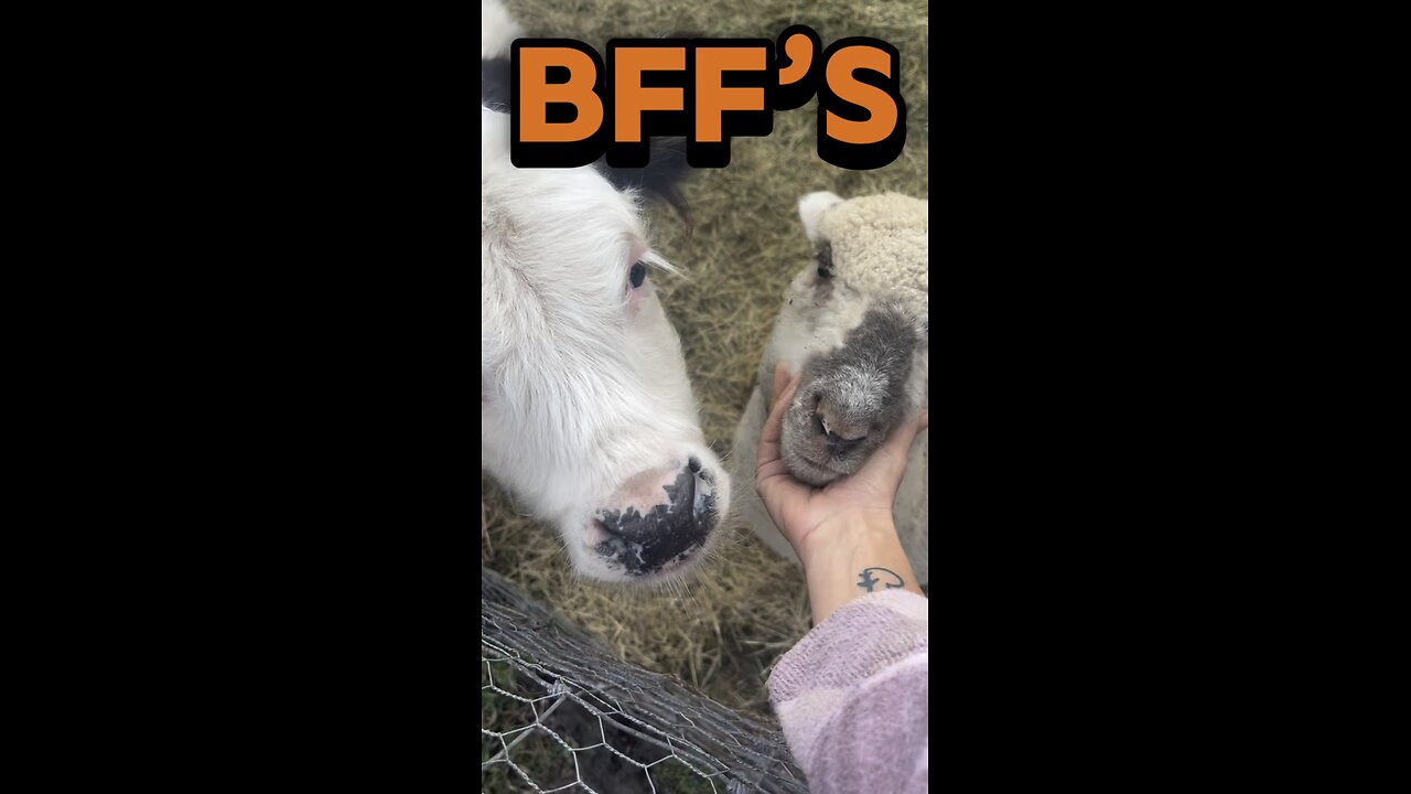 Find out who Honeybee’s best friend is.