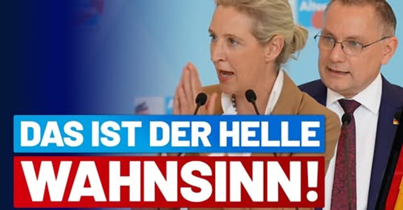 Linksradikale WEF/Blackrock Marionetten CDU-SPD Regierung beuten Deutschland komplett aus