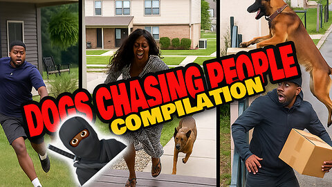 “Dogs Chasing People — Funniest Moments Caught on Camera 🐕😂”