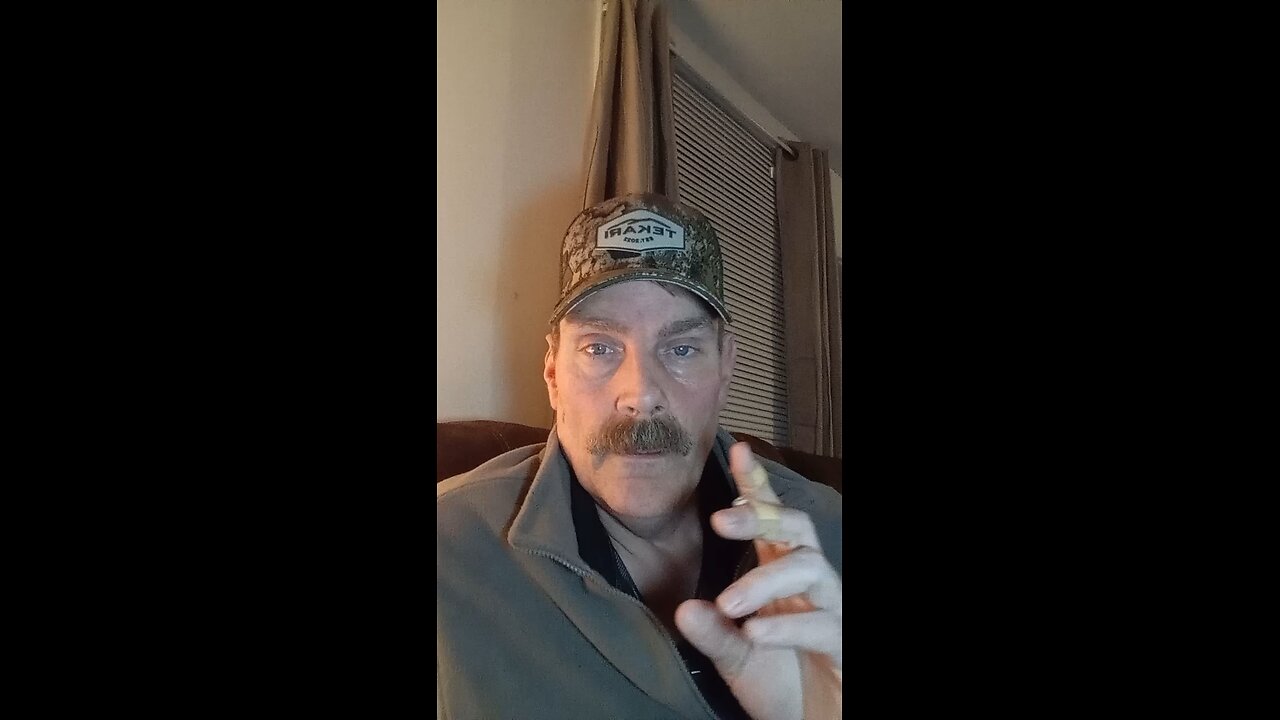 In Focus: Oh Tannenbaum?