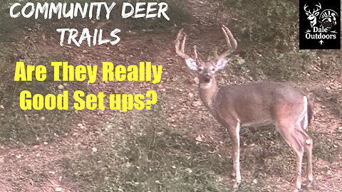 Community Deer Trails, How Good Are They