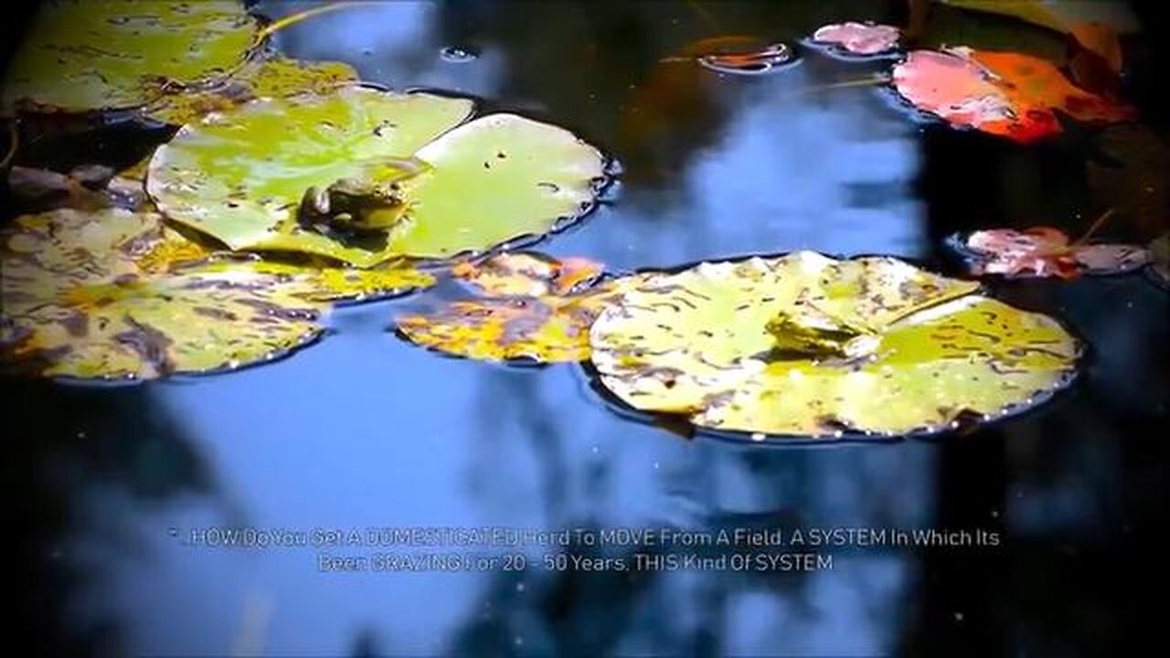 Crisis after crisis - terrorists everywhere - Alan Watt