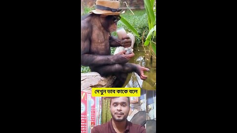 দেখুন ভাব কাকে বলে #shorts #viral #funny #amazing