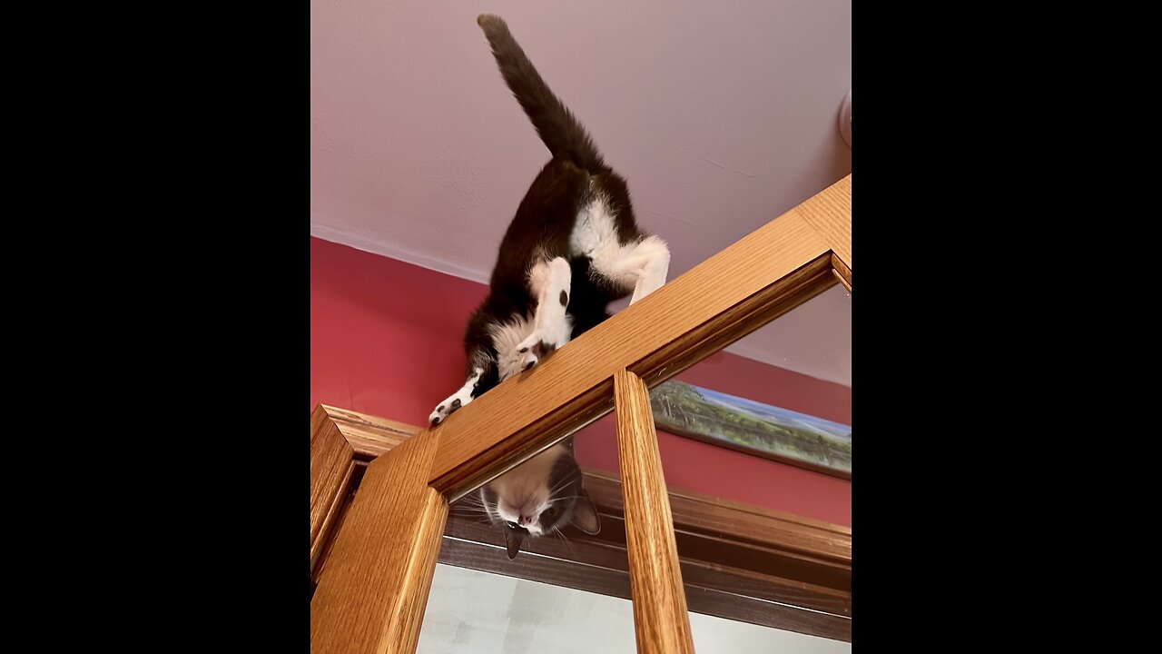 The Scott Adams School 1/1/26