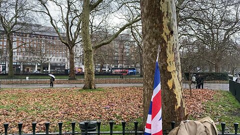 The chaos which is speakers corner, 1/2/26