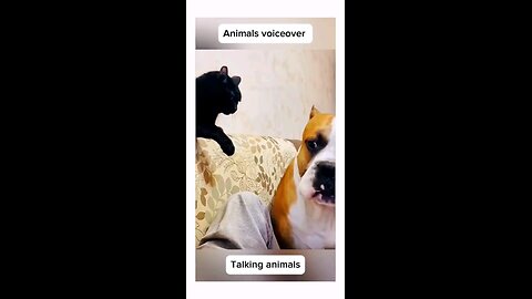 Talking animals