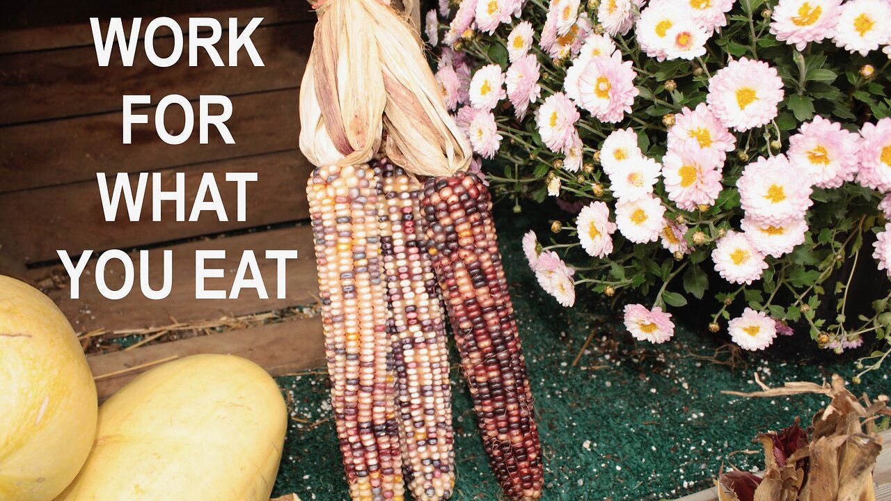 Work For What You Eat. 2 Thessalonians 3: 10-13