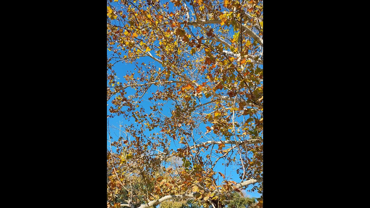 You're a Mean One, Mr. Grinch