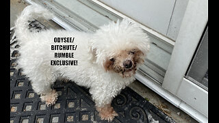 Rumble/Odysee/Bitchute Exclusive Hot Take News Blast! Dec. 10th 2025