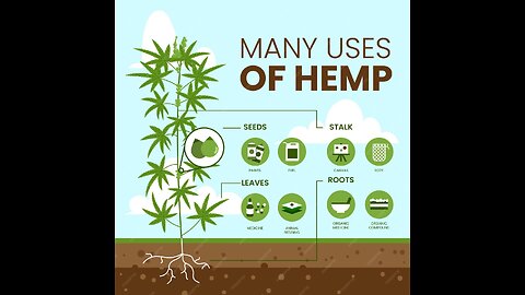 HUMPIN' FOR HEMP (1991) Alternative Views 443