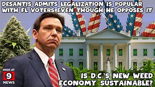 District of cannabis: Is D.C.’s new weed economy sustainable?