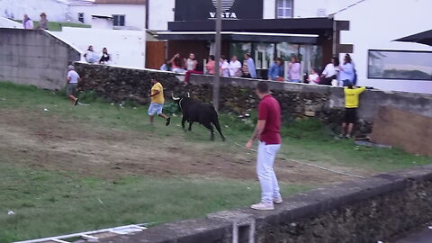 A marrada que despiu os calções - Toiro 230 JAF