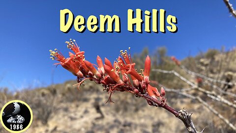 Hiking Deem Hills Circumference Trail