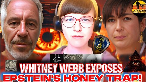 Whitney Webb on Epstein & Intelligence Filmed 2020