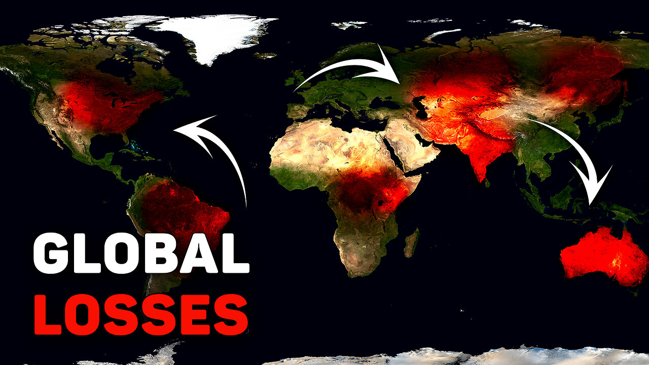 You Definitely Saw This in Your Feed! Disasters That Shook 6 Continents in 7 Days