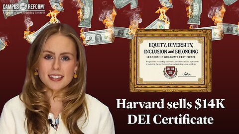 Harvard sells $14K DEI Certificate