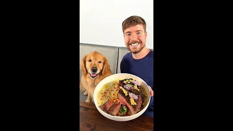 Mrbeast Feeding A Dog $1 vs 10,000