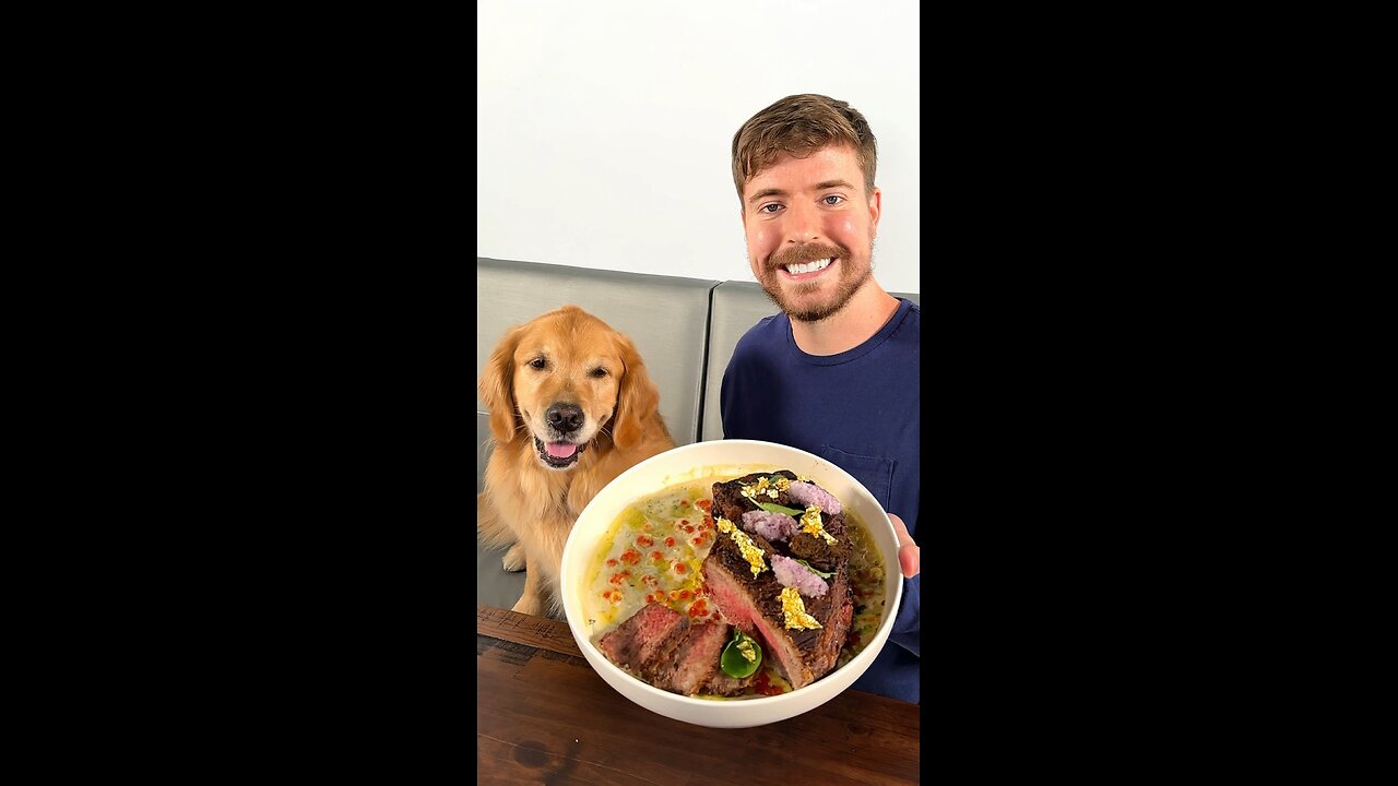 Mrbeast Feeding A Dog $1 vs 10,000