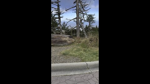 Mt Mitchell on a Africa Twin