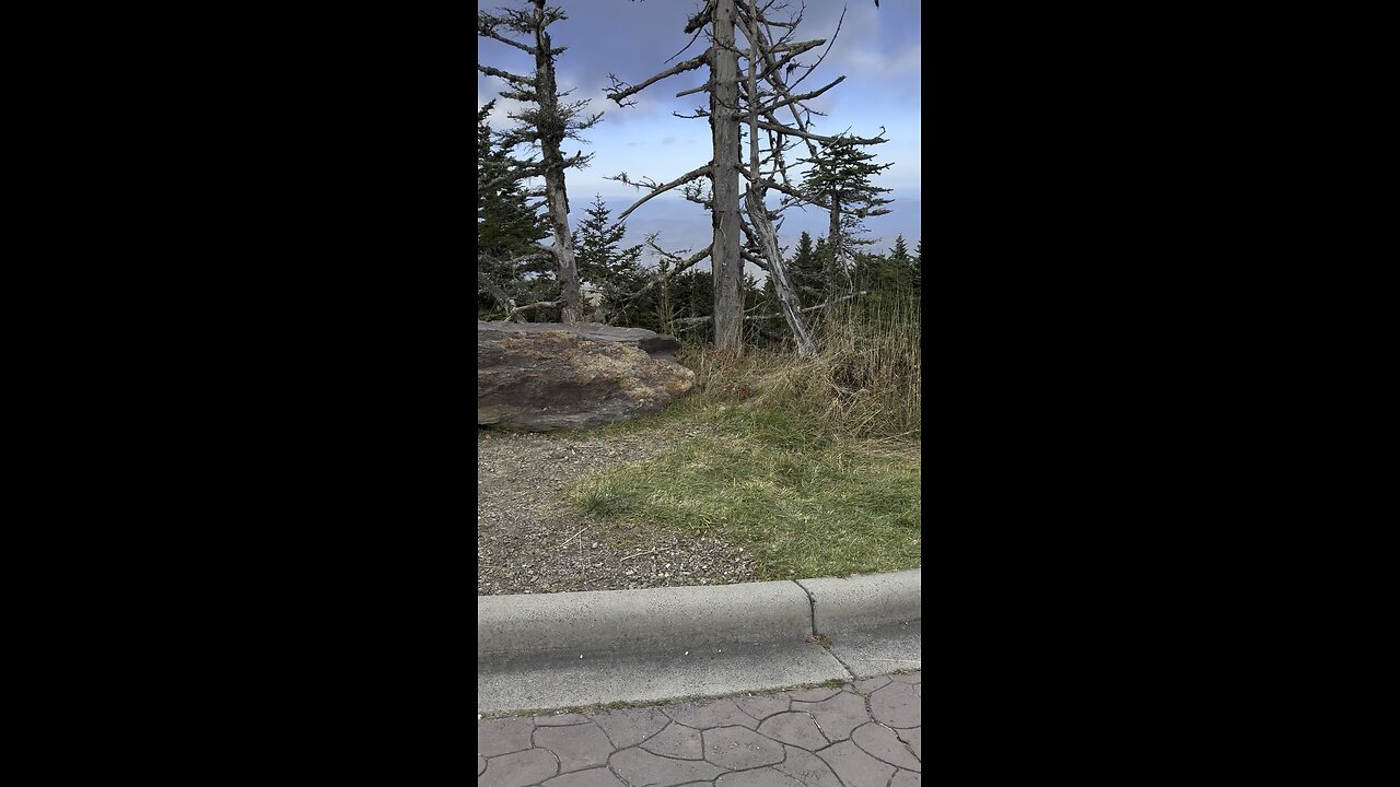 Mt Mitchell on a Africa Twin