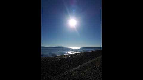 Kittens, Polar Bears, Schopenhauer, Dostoevsky, Canada flatlining and the fake AI Revolution.