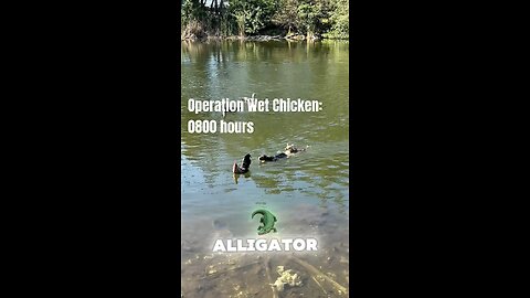 Operation: Wet Chicken