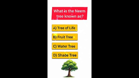 what is the Neem tree known as 🤔🤔