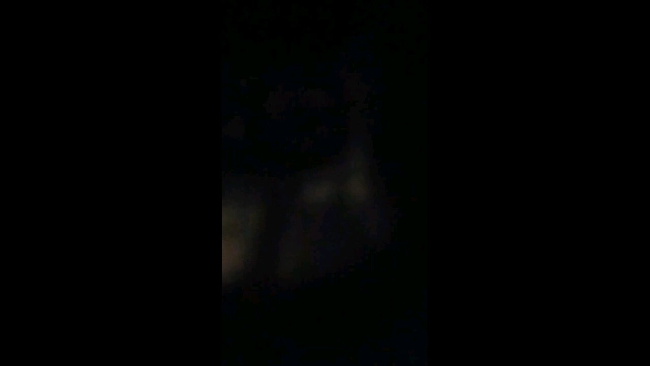 Streetlight manifesto, would you confess