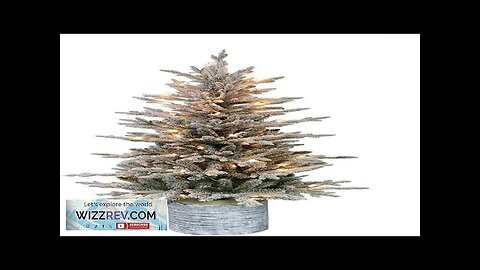 Puleo International 4.5 Foot Pre-Lit Potted Flocked Arctic Fir Artificial Christmas Tree Review