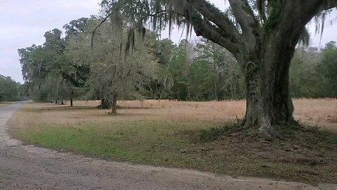 Ace Basin Wildlife Refuge, SC