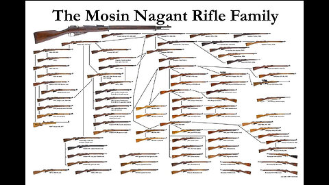 1948 Mosin Nagant: A Perfect Gem!